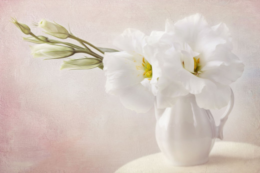 702087 (a): :4000x2667